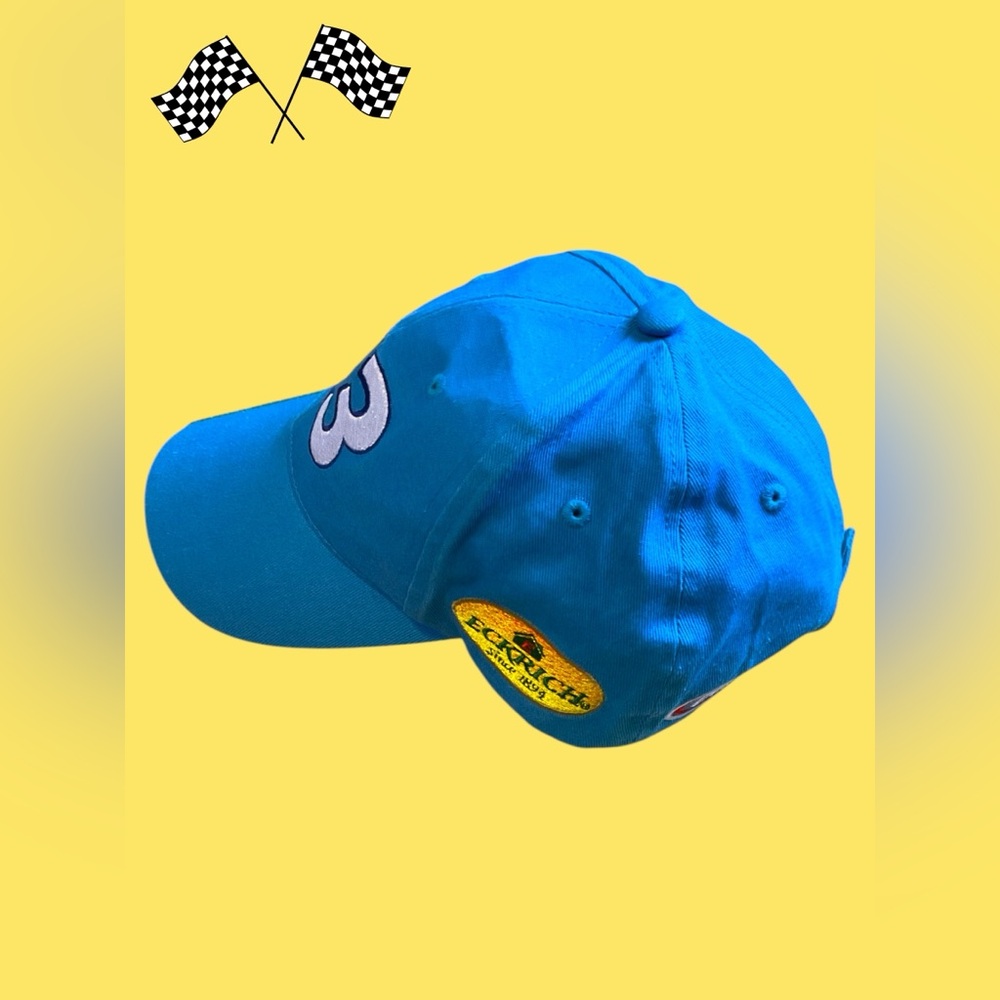 Nascar #43 Richard Petty embroidered hat blue yellow eckrich - Picture 2 of 6